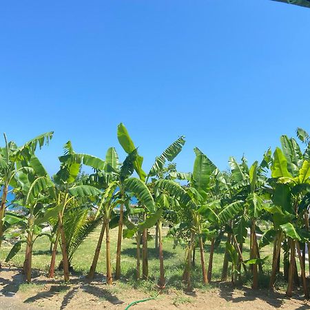 Villa Rose Archangelos  Ngoại thất bức ảnh