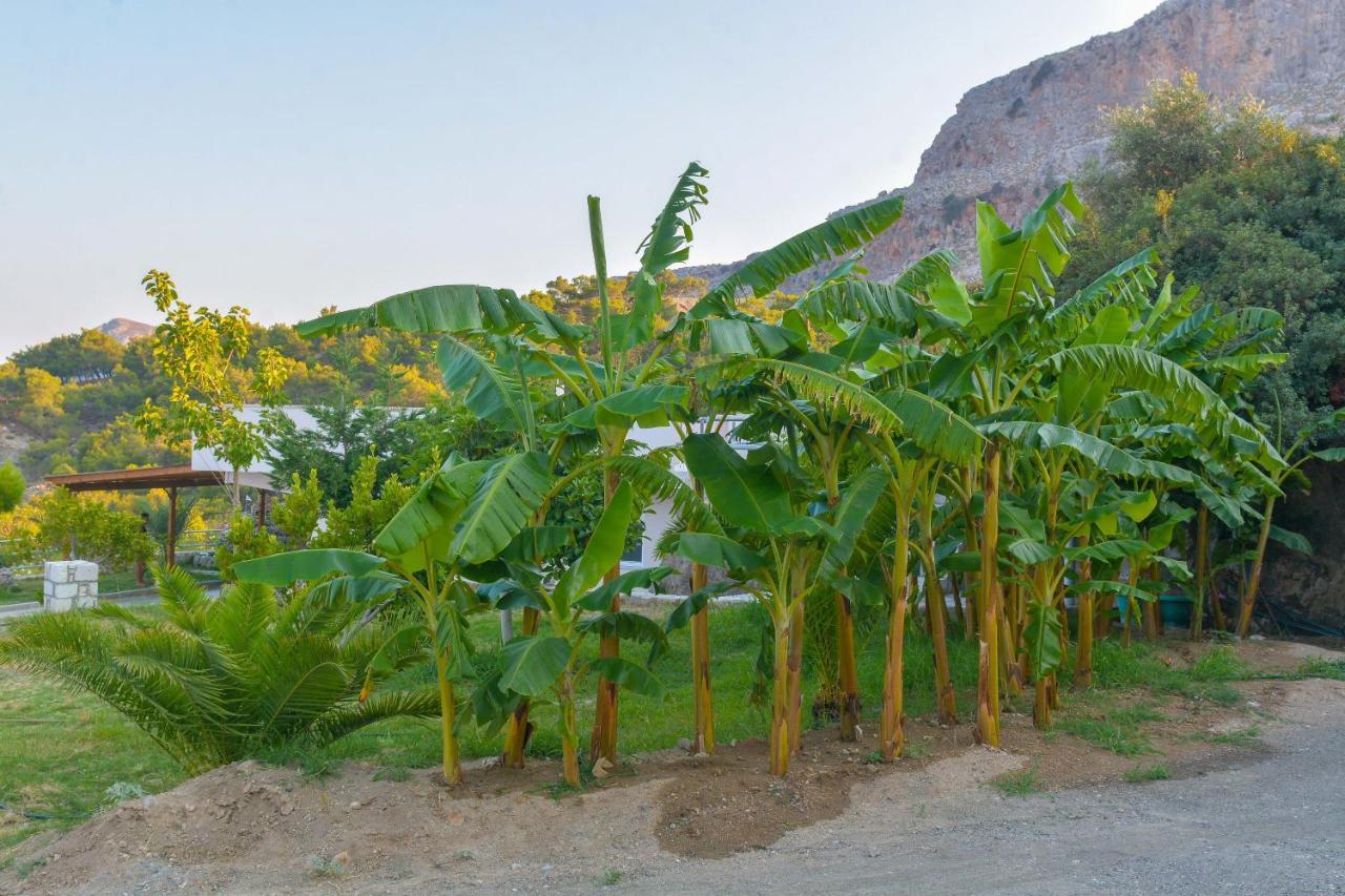 Villa Rose Archangelos  Ngoại thất bức ảnh